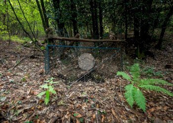 Rustico Via Giala, Barge - foto 24