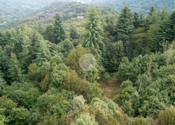 Rustico Via Giala, Barge - foto 27