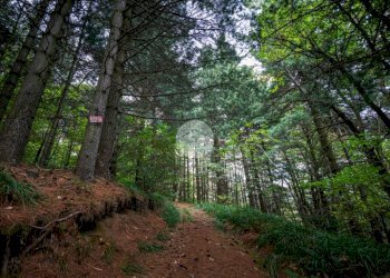 Rustico Via Giala, Barge - foto 29