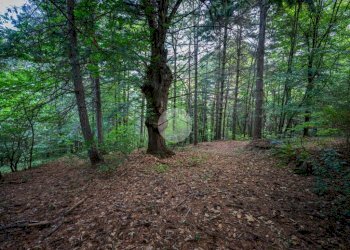 Rustico Via Giala, Barge - foto 30