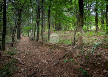 Rustico Via Giala, Barge - foto 32