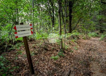 Rustico Via Giala, Barge - foto 33