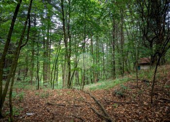 Rustico Via Giala, Barge - foto 34