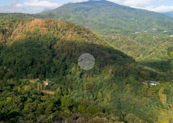 Villa Via Bertola, Barge - photo 37