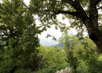 Casa semi indipendente Strada Case Gonizzi, Langhirano - foto 10