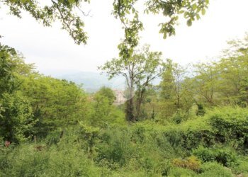 Casa semi indipendente Strada Case Gonizzi, Langhirano - foto 19