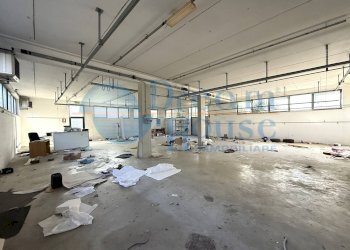 Foto 5 - Capannone Via Magenta, Martinsicuro - foto 5