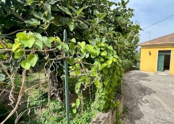 Foto 5 - Casa indipendente via armando diaz
 
92, Fontanarosa - foto 5