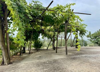 Foto 8 - Casa indipendente contrada savia, Fontanarosa - foto 8