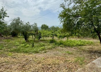 Foto 10 - Casa indipendente contrada savia, Fontanarosa - foto 10