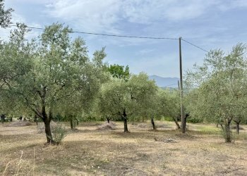 Foto 1 - Terreno agricolo contrada savia, Fontanarosa - foto 1