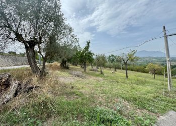 Foto 6 - Terreno agricolo contrada savia, Fontanarosa - foto 6