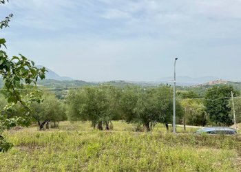 Foto 9 - Terreno agricolo contrada savia, Fontanarosa - foto 9