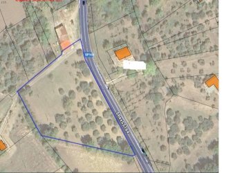 Foto 10 - Terreno agricolo contrada savia, Fontanarosa - foto 10