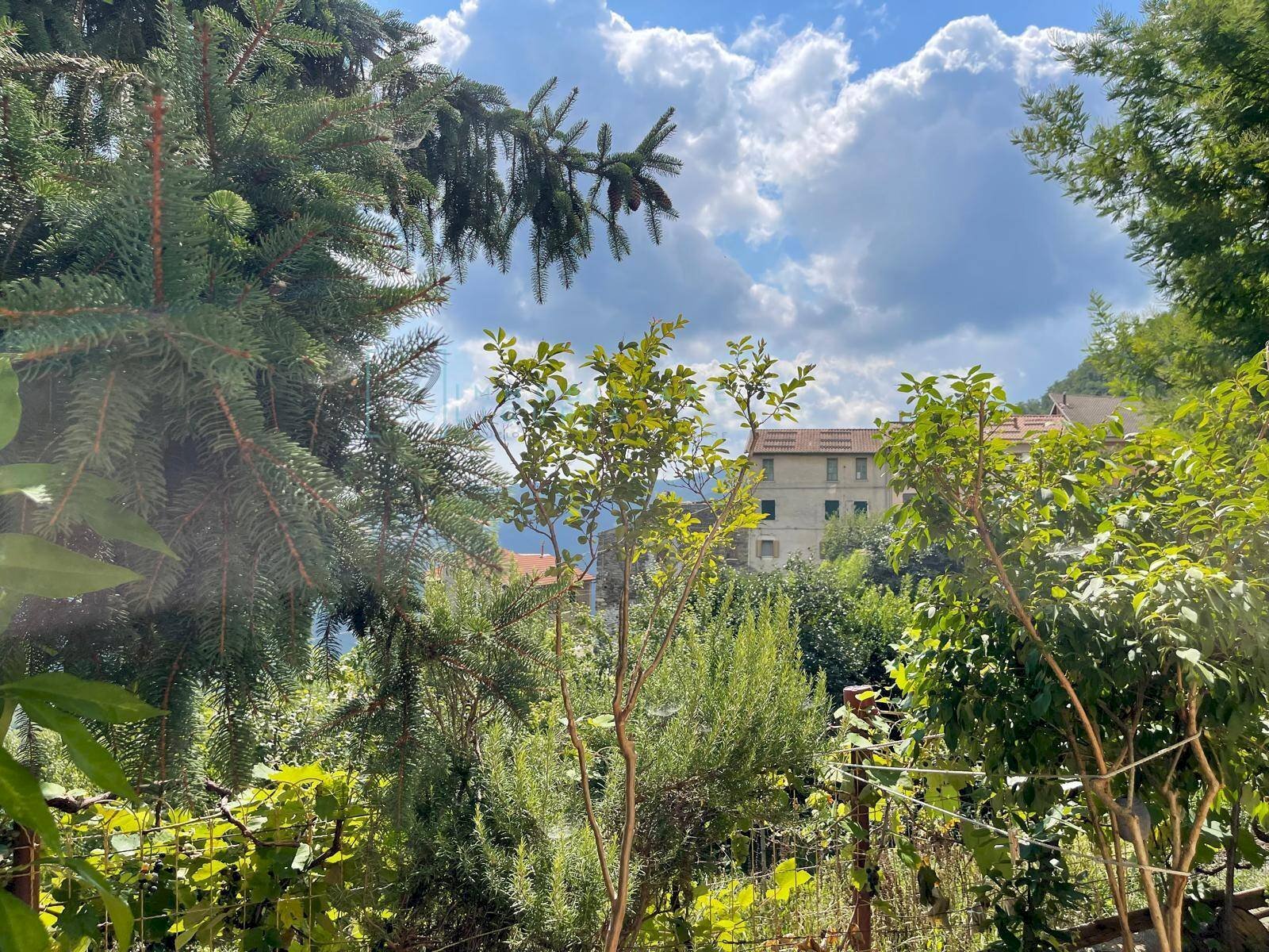 Foto 1 - Quadrilocale Via per Aquila, Borghetto d'Arroscia - foto 1