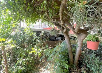 Foto 6 - Quadrilocale Via per Aquila, Borghetto d'Arroscia - foto 6