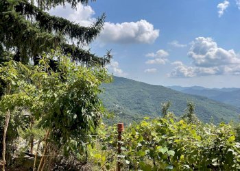 Foto 32 - Quadrilocale Via per Aquila, Borghetto d'Arroscia - foto 32