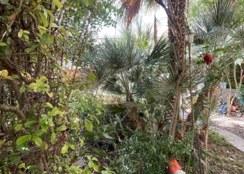 Foto 54 - Quadrilocale Via per Aquila, Borghetto d'Arroscia - foto 54