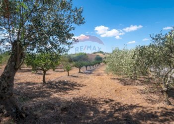 Giardino - Casa indipendente contrada san cataldo, Caltagirone - foto 16