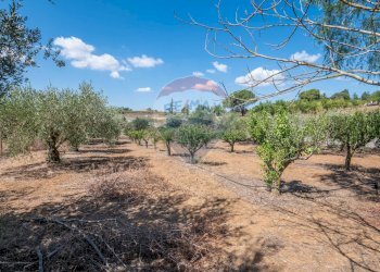 Giardino - Casa indipendente contrada san cataldo, Caltagirone - foto 17