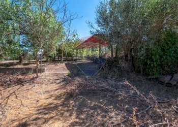 Giardino - Casa indipendente contrada san cataldo, Caltagirone - foto 18