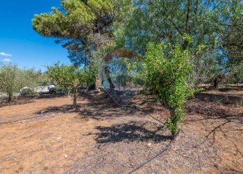 Giardino - Casa indipendente contrada san cataldo, Caltagirone - foto 19