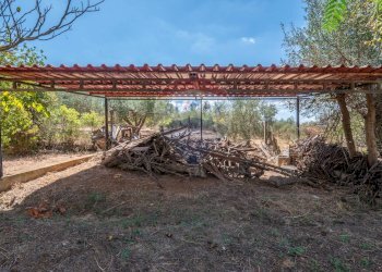 Giardino - Casa indipendente contrada san cataldo, Caltagirone - foto 21