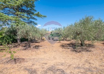 Giardino - Casa indipendente contrada san cataldo, Caltagirone - foto 29