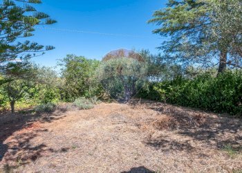 Giardino - Casa indipendente contrada san cataldo, Caltagirone - foto 32