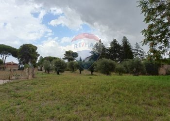 Giardino - Terreno edificabile Via Fisicara
84, Caltagirone - foto 3