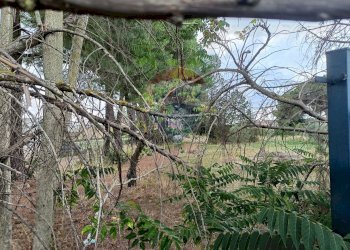 Giardino - Terreno edificabile Via Fisicara
84, Caltagirone - foto 6