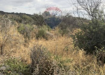 Vista delle montagne - Rustico contrada carcarazza
 
sn, Camporotondo Etneo - foto 4