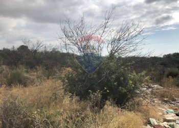 Vista delle montagne - Rustico contrada carcarazza
 
sn, Camporotondo Etneo - foto 6