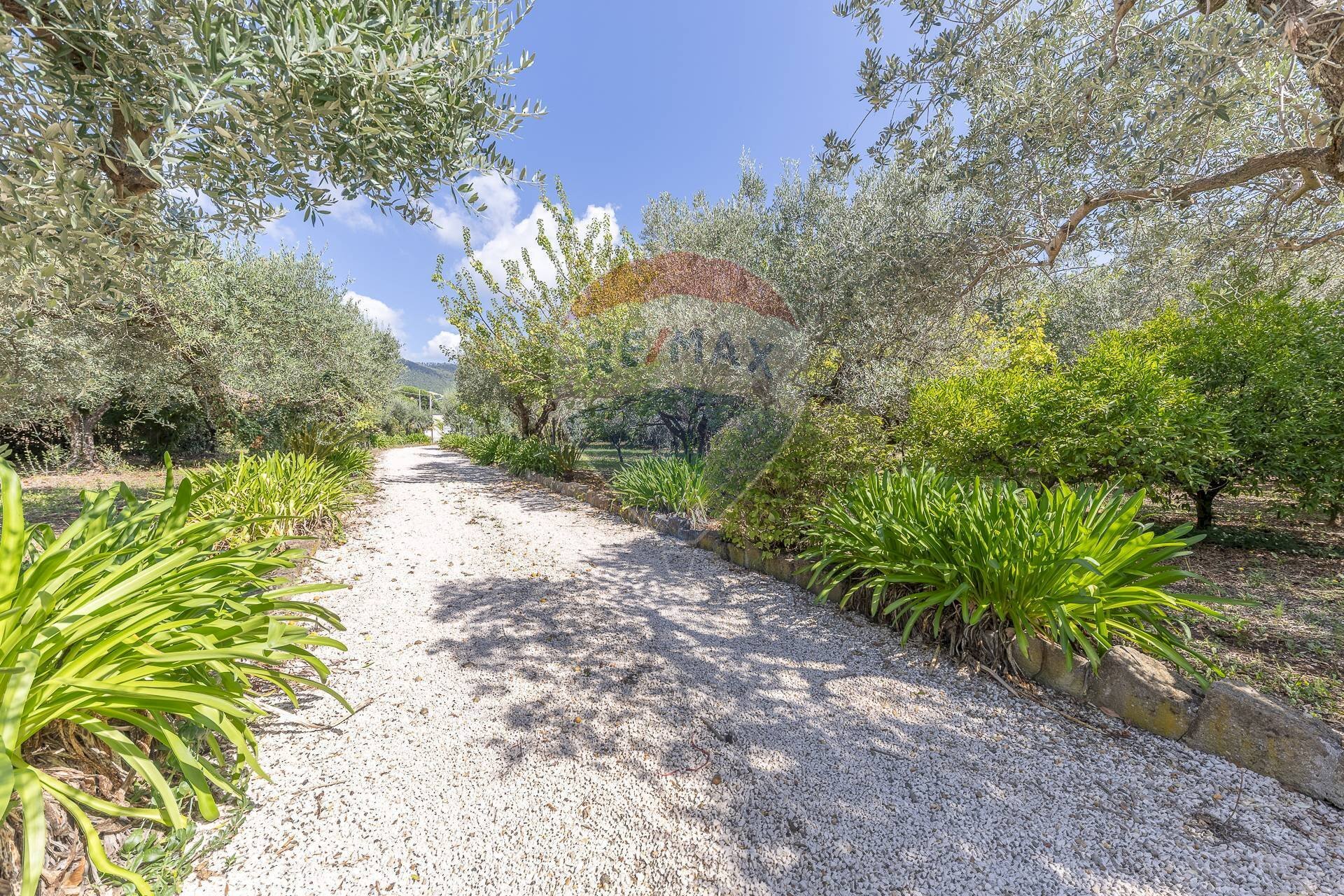 Giardino - Villa Via Madonna degli Angeli
 
40, Velletri - foto 3