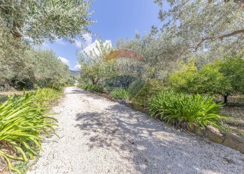 Giardino - Villa Via Madonna degli Angeli
 
40, Velletri - photo 3