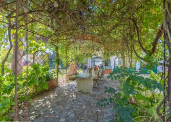 Giardino - Villa Via Madonna degli Angeli
 
40, Velletri - photo 4