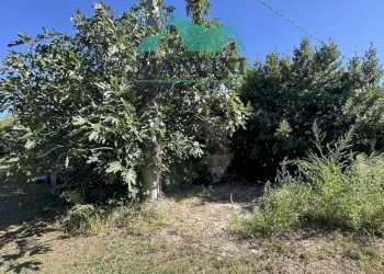 Foto 41 - Casa indipendente MONSANO, Monsano - foto 41