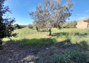 Foto 2 - Terreno agricolo via de gasperi, Pastorano - foto 2