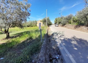 Foto 3 - Terreno agricolo via de gasperi, Pastorano - foto 3