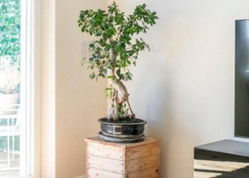 Foto 9 - Trilocale Viale Guglielmo Marconi, Roma - foto 9