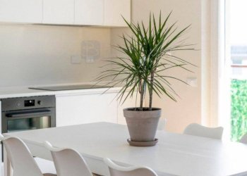 Foto 14 - Trilocale Viale Guglielmo Marconi, Roma - foto 14