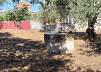 Giardino - Rustico via dei Papaveri, Ispica - foto 9