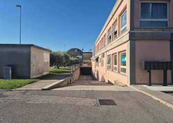 Foto 1 - Warehouse Pascoli, Affi - photo 1