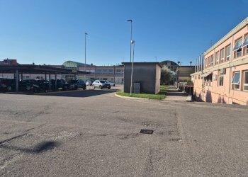 Foto 5 - Warehouse Pascoli, Affi - photo 5