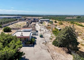 Foto 4 - Agricultural land Contrada Monachelle
SN, Andria - photo 4