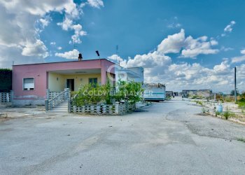 Foto 12 - Agricultural land Contrada Monachelle
SN, Andria - photo 12