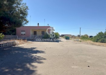 Foto 13 - Agricultural land Contrada Monachelle
SN, Andria - photo 13