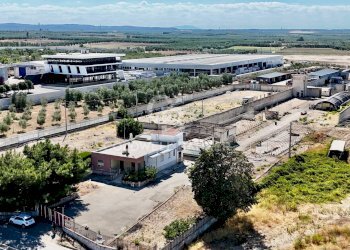 Foto 14 - Agricultural land Contrada Monachelle
SN, Andria - photo 14