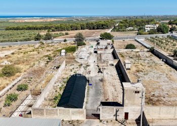 Foto 15 - Agricultural land Contrada Monachelle
SN, Andria - photo 15