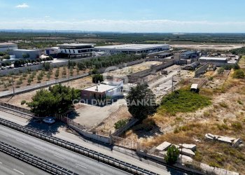 Foto 16 - Agricultural land Contrada Monachelle
SN, Andria - photo 16